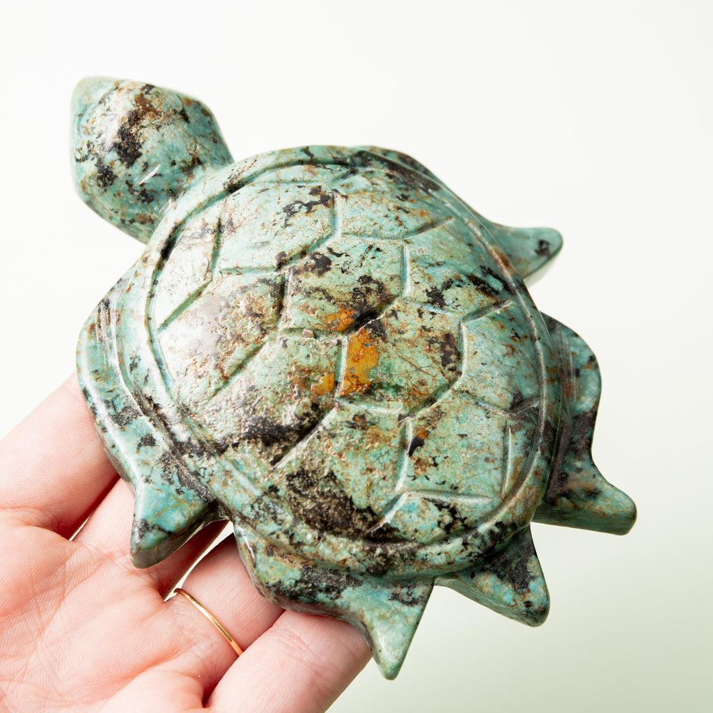 African Turquoise Turtle - 265g/12cm