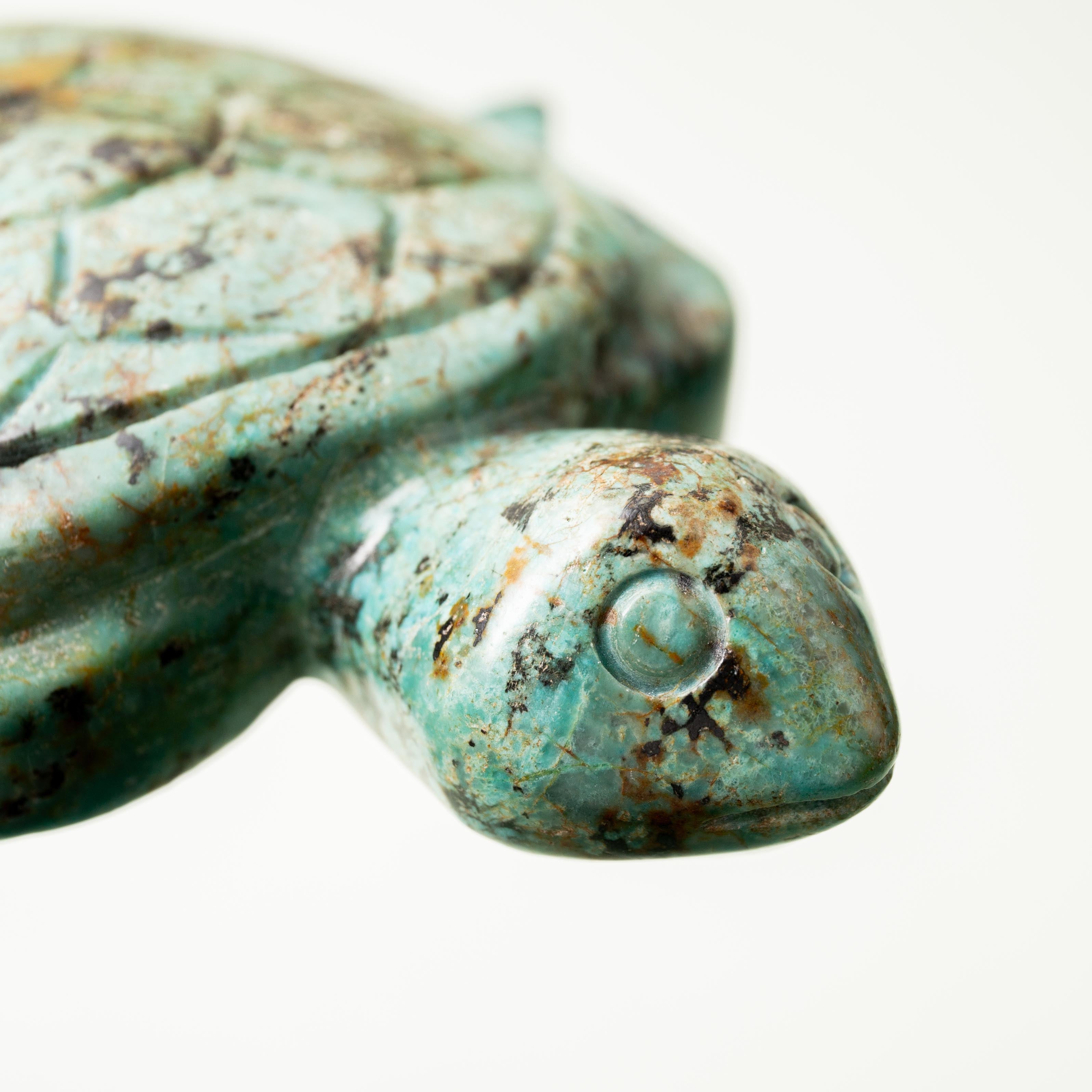African Turquoise Turtle - 265g/12cm