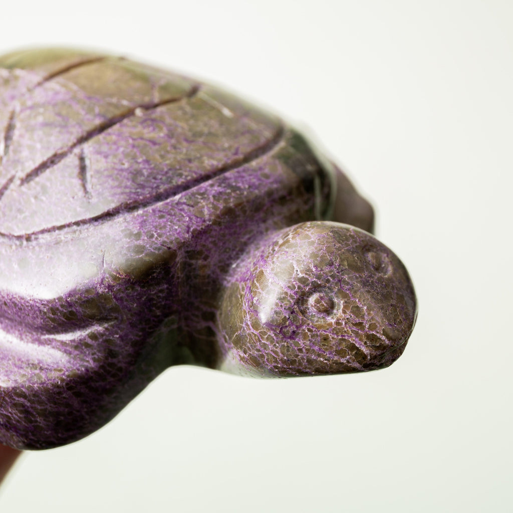 Atlantisite Turtle - 175g/10cm