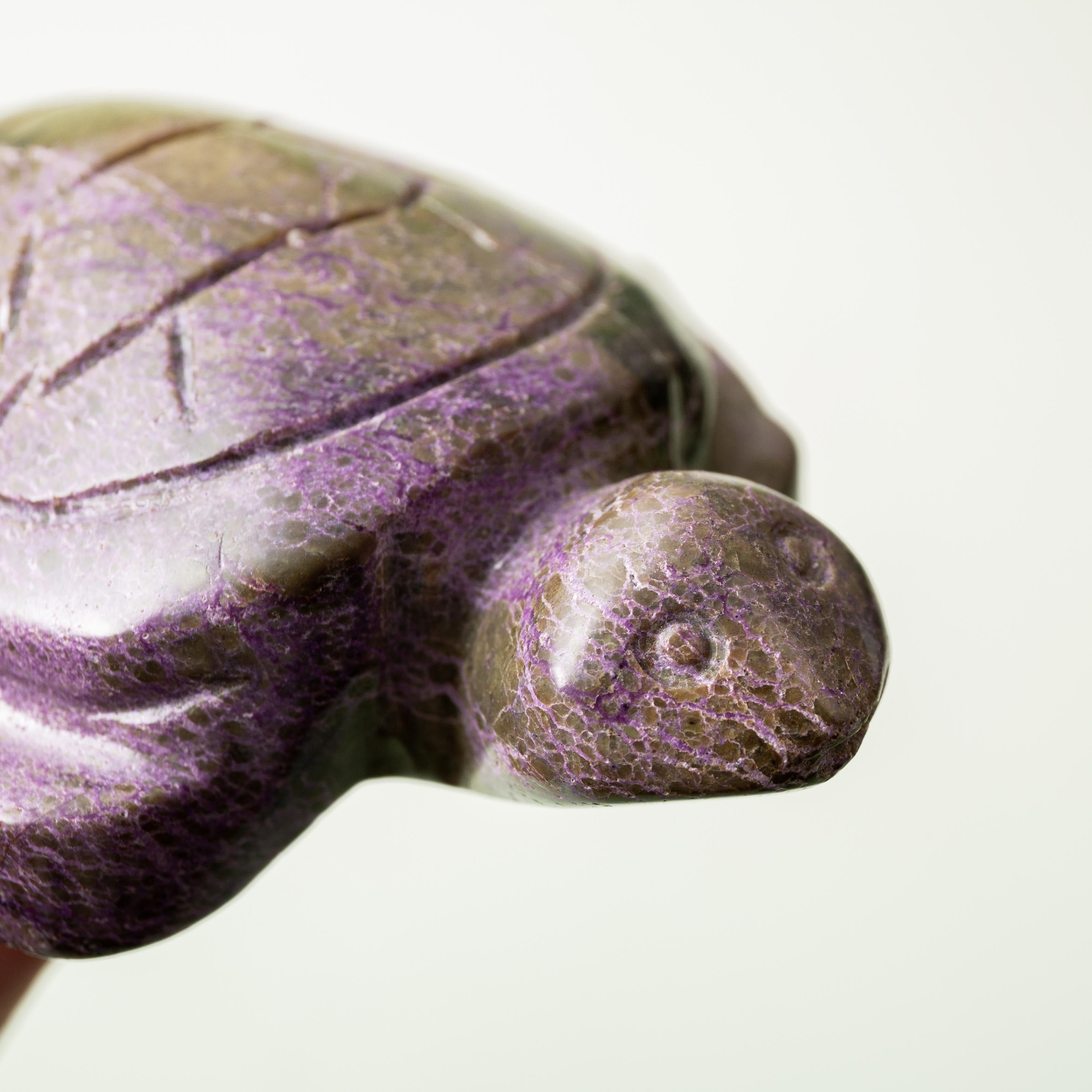 Atlantisite Turtle - 175g/10cm