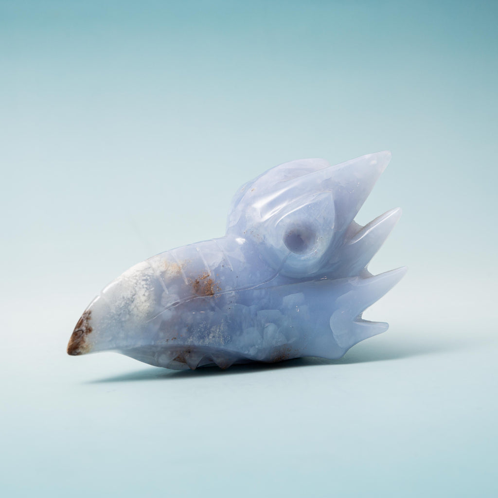 Blue Chalcedony Phoenix head - 338g/10cm