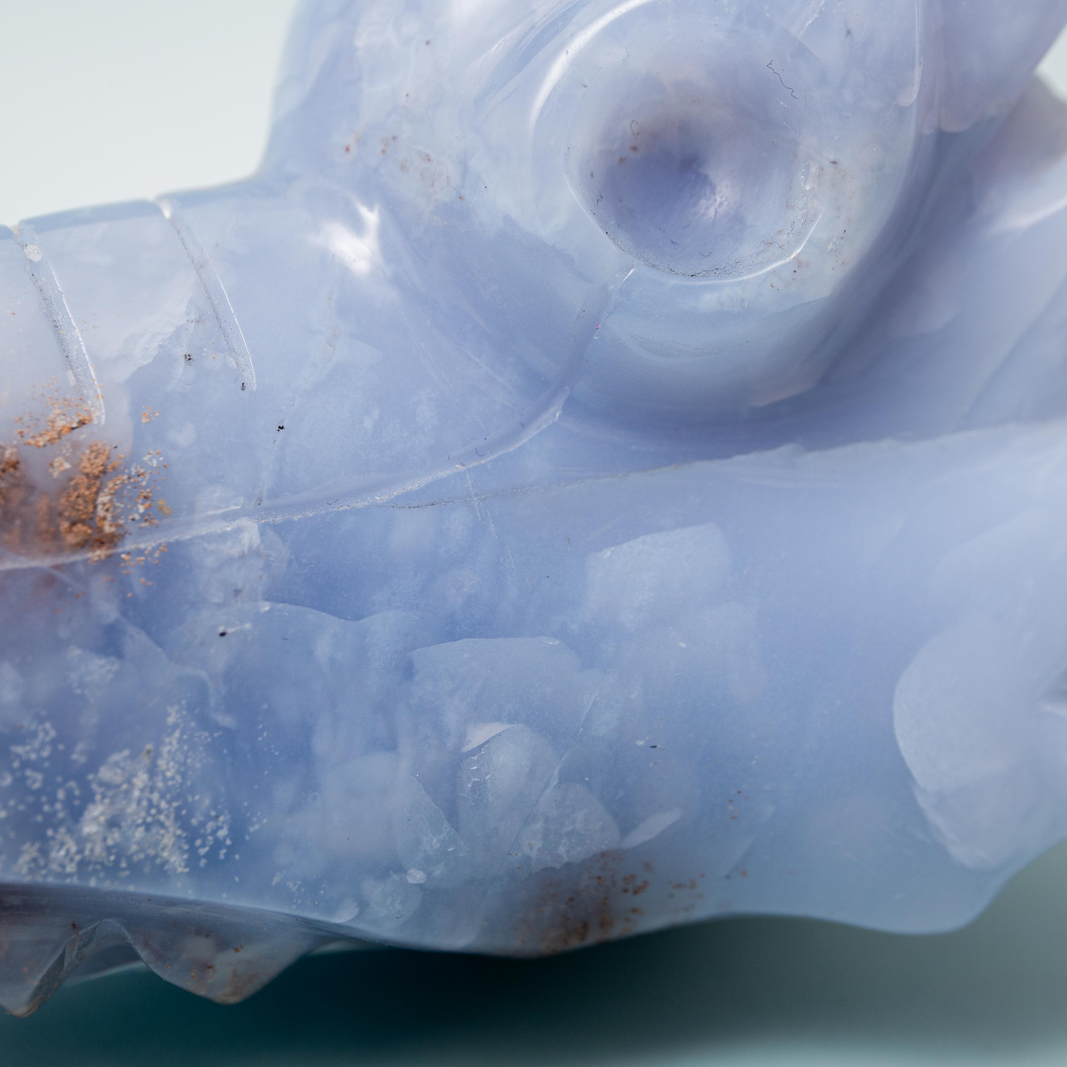 Blue Chalcedony Phoenix head - 338g/10cm