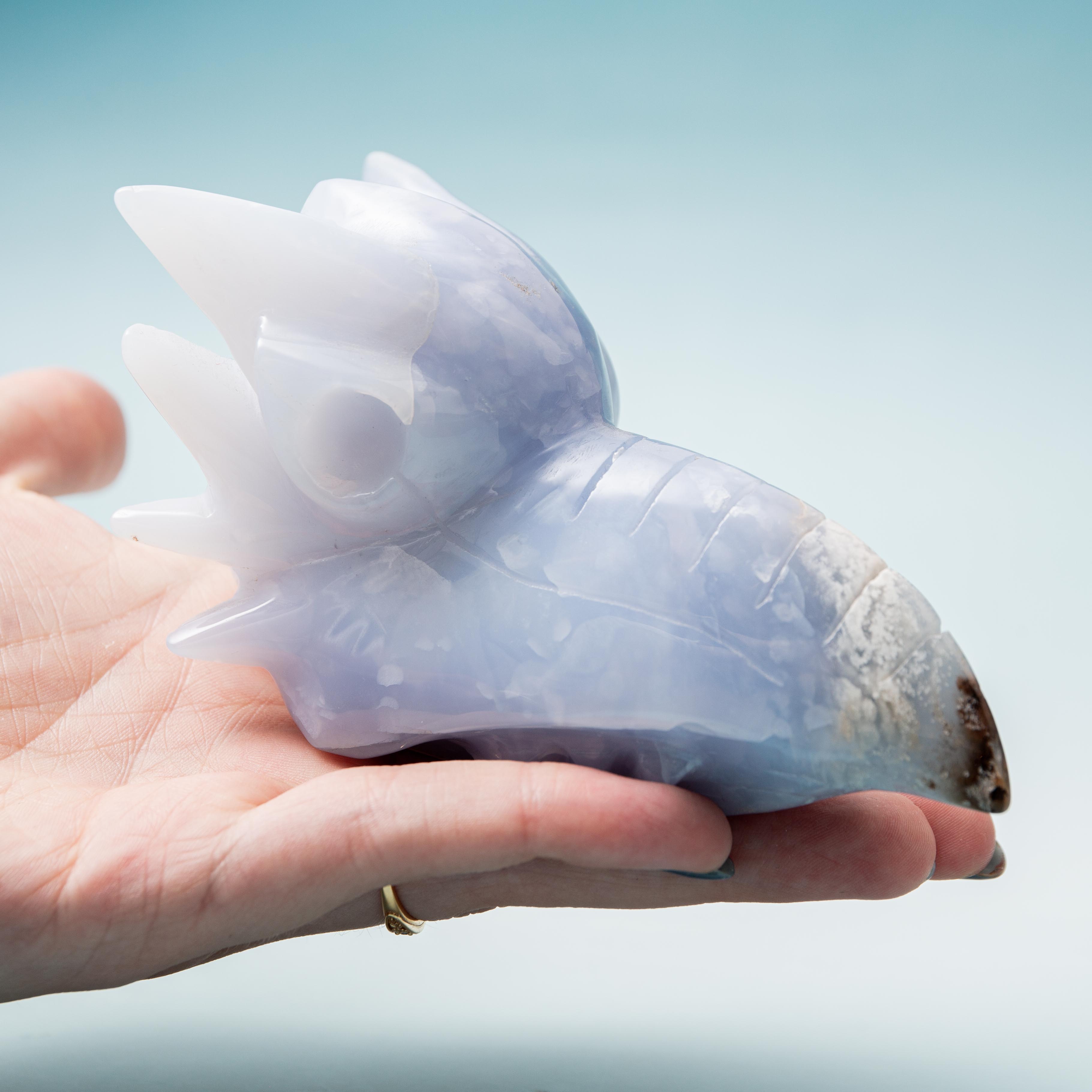 Blue Chalcedony Phoenix head - 338g/10cm