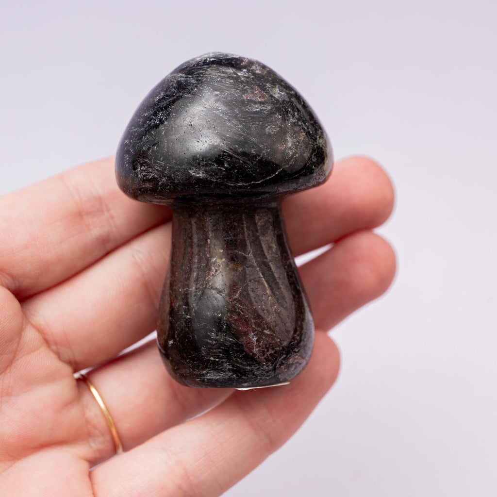 Garnet Mushroom - 6 cm 110 gr