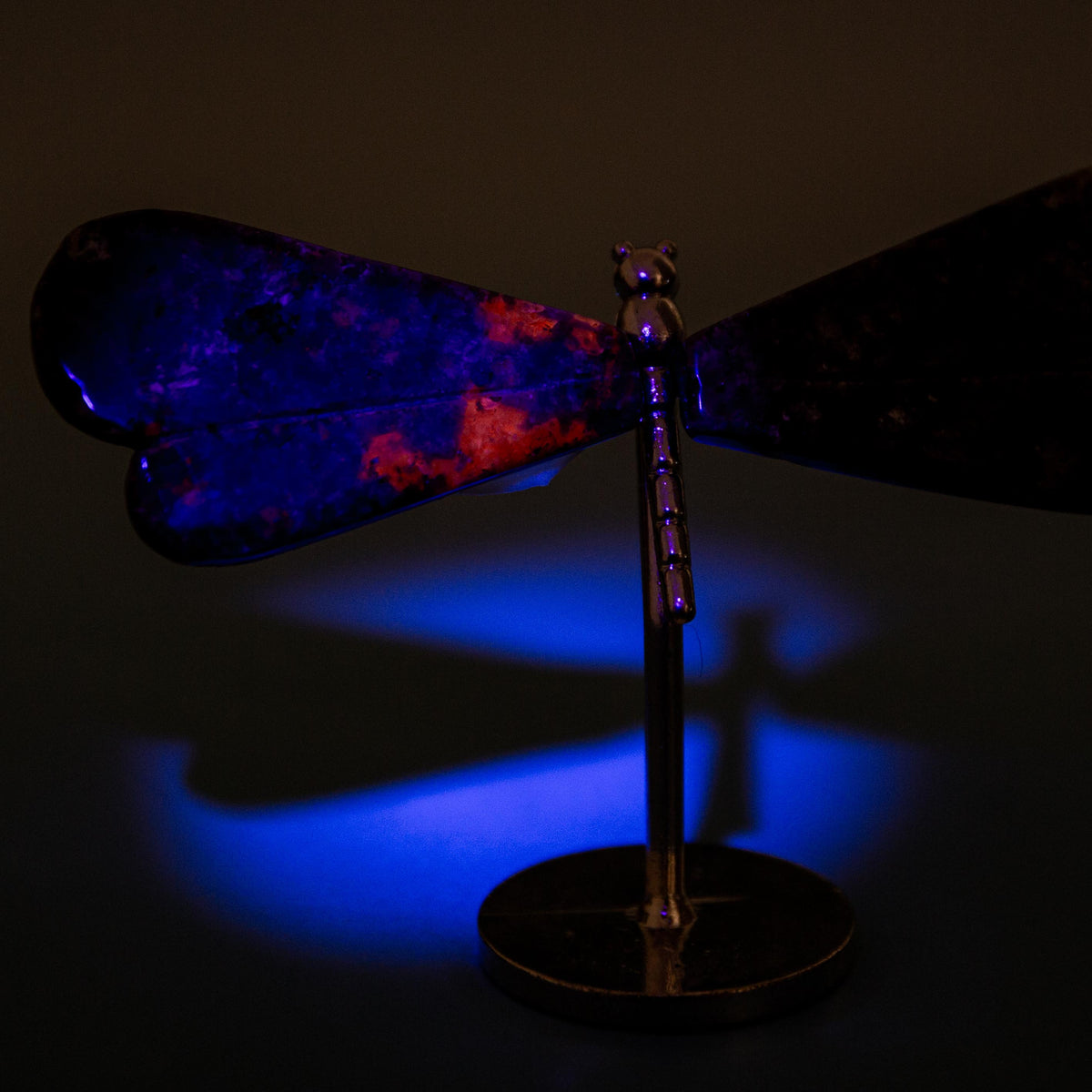 Yooperlite Dragonfly (on Stand) - 6 cm (A11)