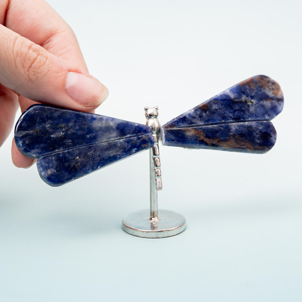 Sodalite Dragonfly (on Stand) - 6 cm (A12)
