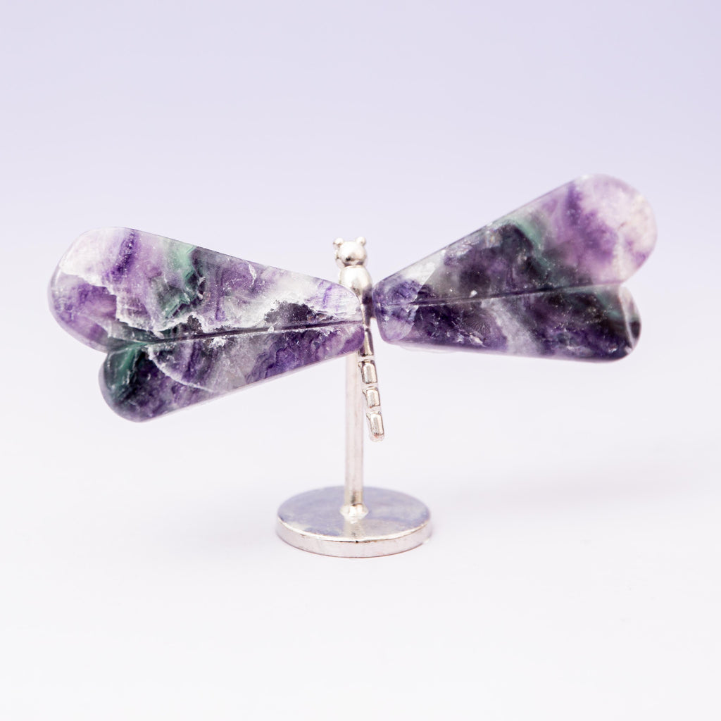 Fluorite Dragonfly (on Stand) - 6 cm (A14)