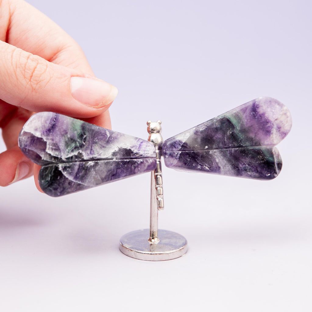Fluorite Dragonfly (on Stand) - 6 cm (A14)