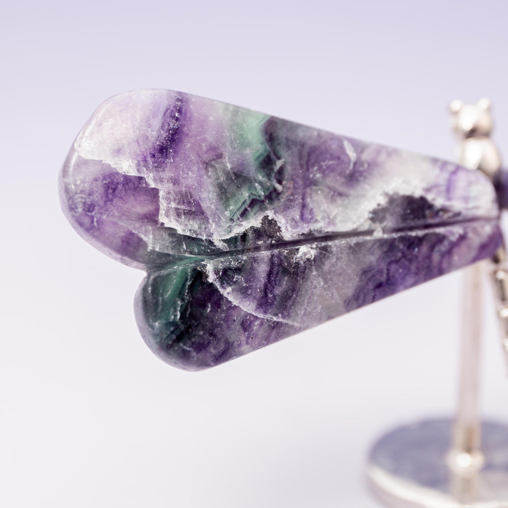 Fluorite Dragonfly (on Stand) - 6 cm (A14)