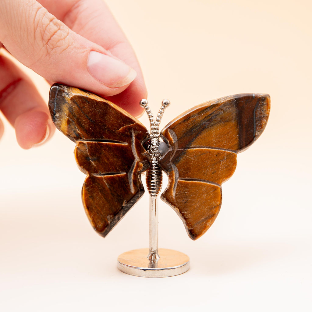 Tiger's Eye Butterfly (on Stand) - 6cm (A12)