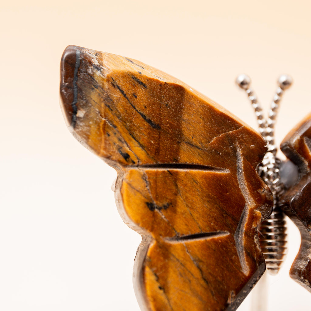 Tiger's Eye Butterfly (on Stand) - 6cm (A12)