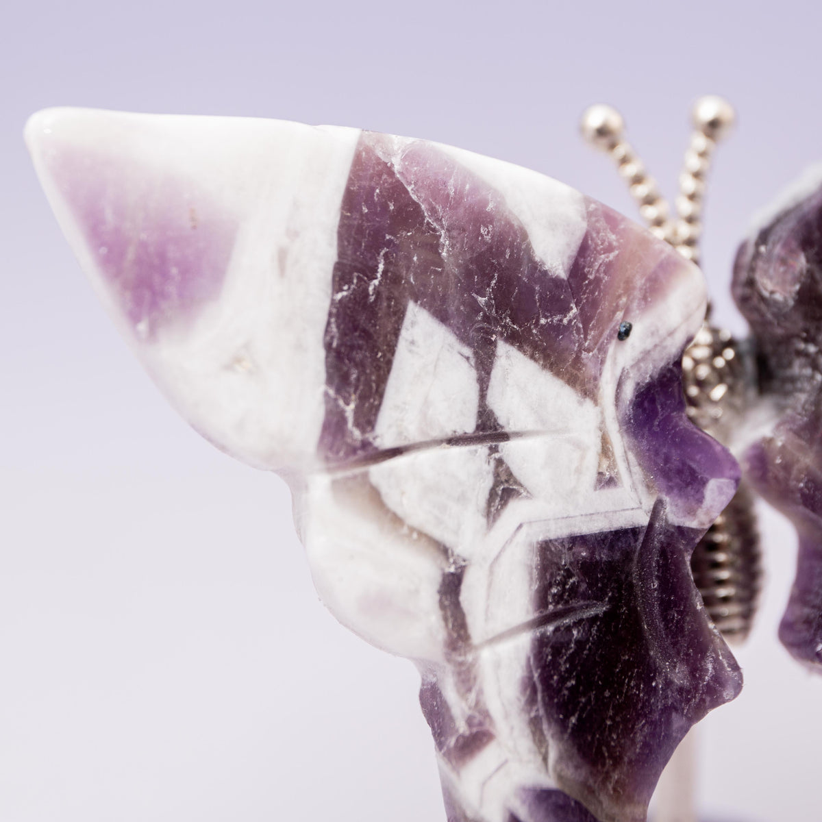 Amethyst Butterfly (on Stand) - 6 cm (A1)