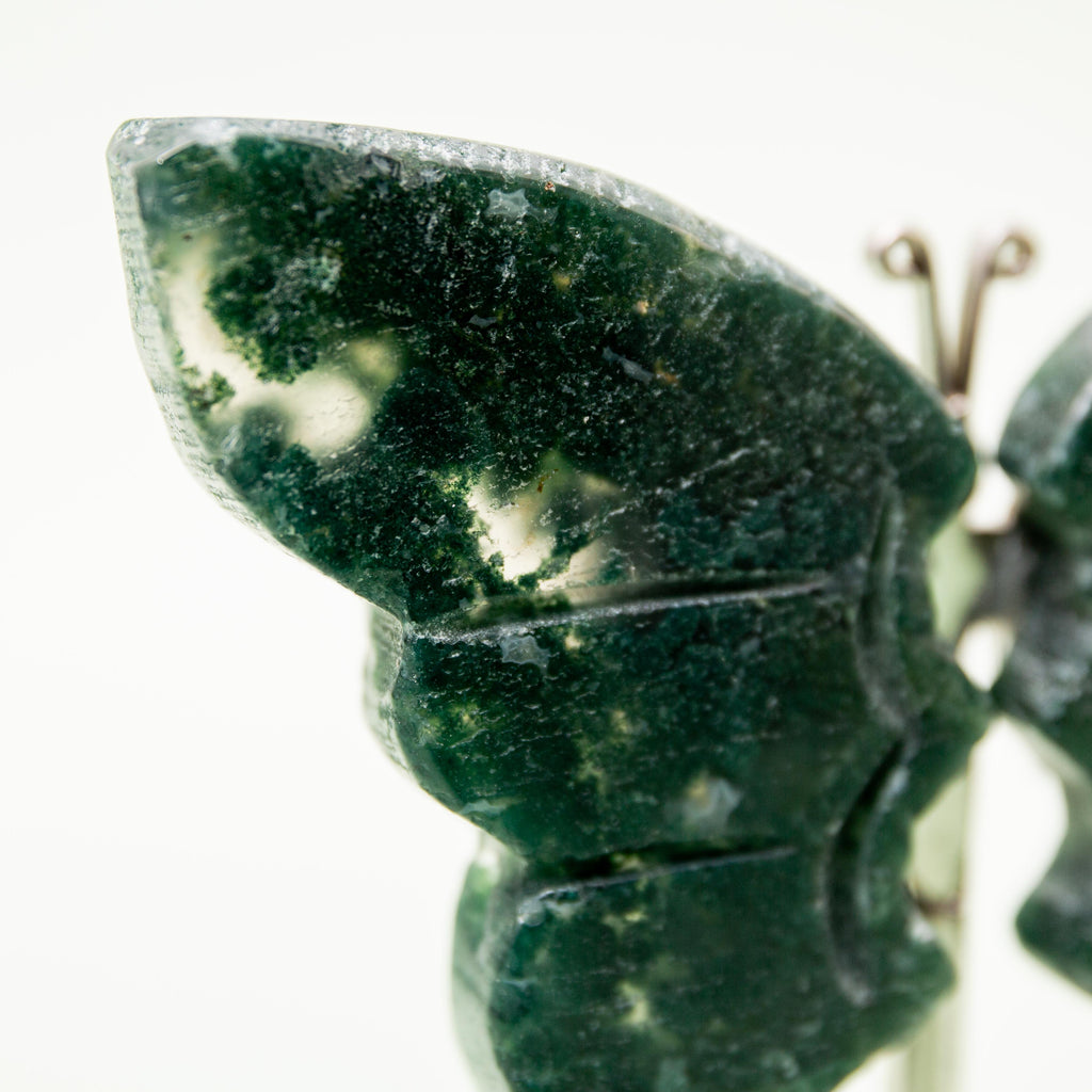 Moss Agate Butterfly (on Stand) - 6 cm (A4)