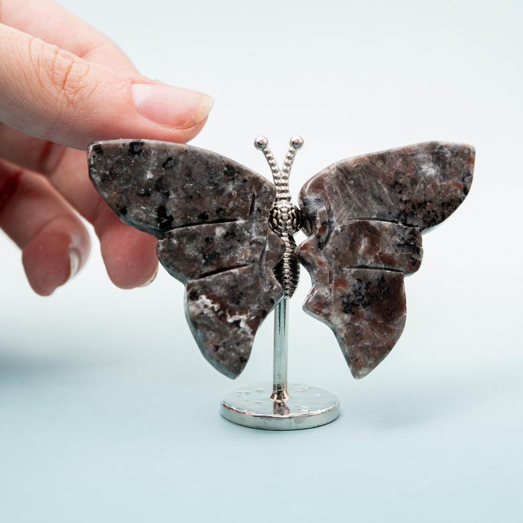 Yooperlite Butterfly (on Stand) - 6 cm (A6)