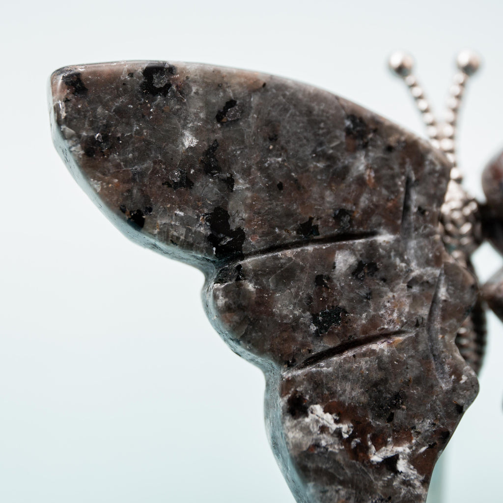 Yooperlite Butterfly (on Stand) - 6 cm (A6)