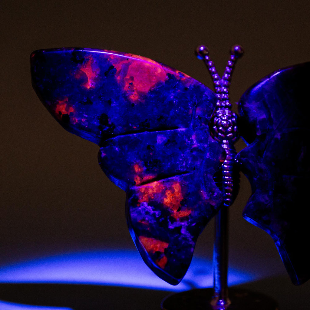 Yooperlite Butterfly (on Stand) - 6 cm (A6)