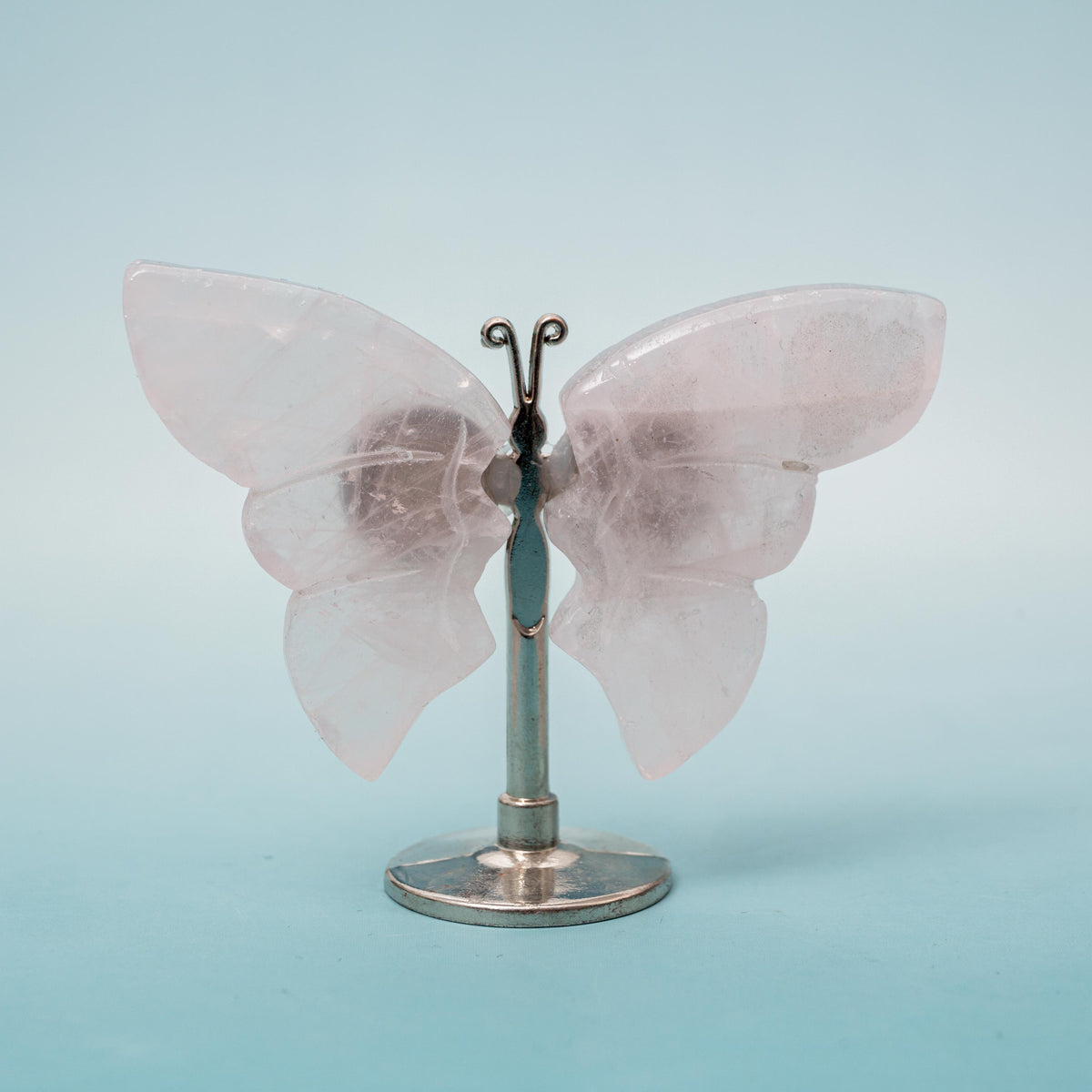 Rose Quartz Butterfly (on Stand) - 6 cm (A7)