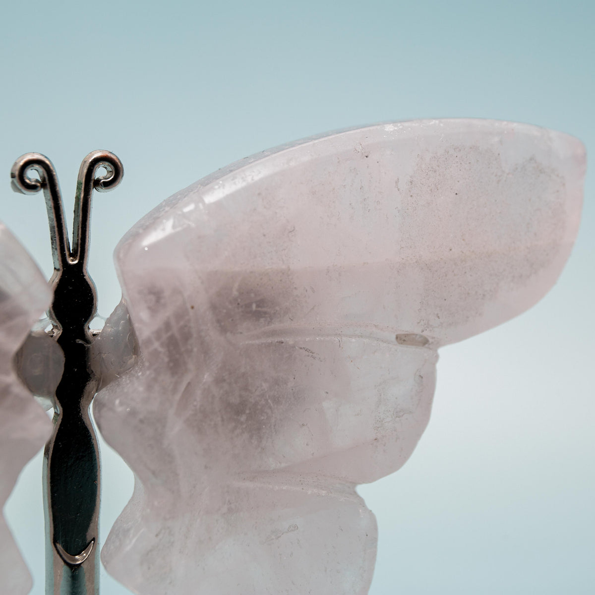 Rose Quartz Butterfly (on Stand) - 6 cm (A7)