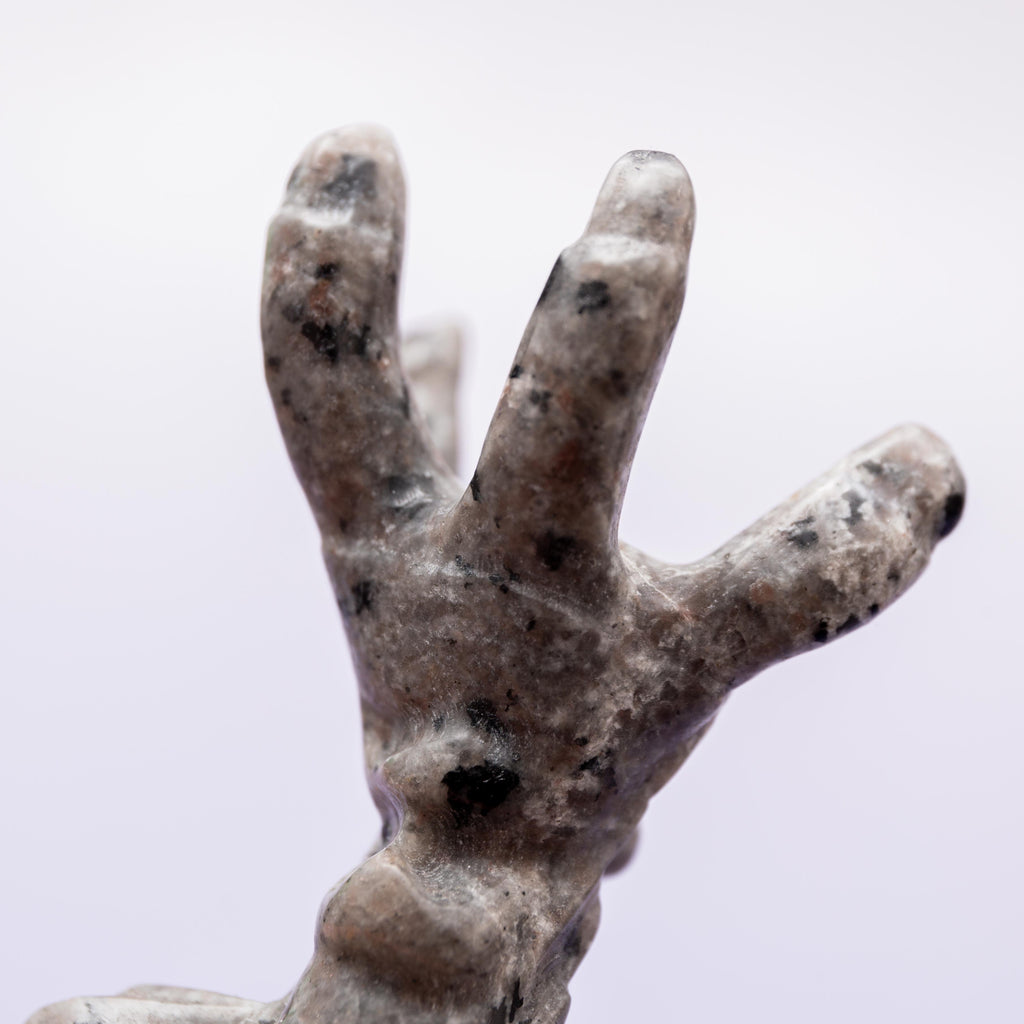 Yooperlite Claw - 6 cm (B)