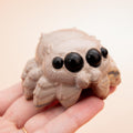 Jasper Spider - 3 cm (B1)