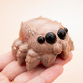 Jasper Spider - 3 cm 143 gr (B2)