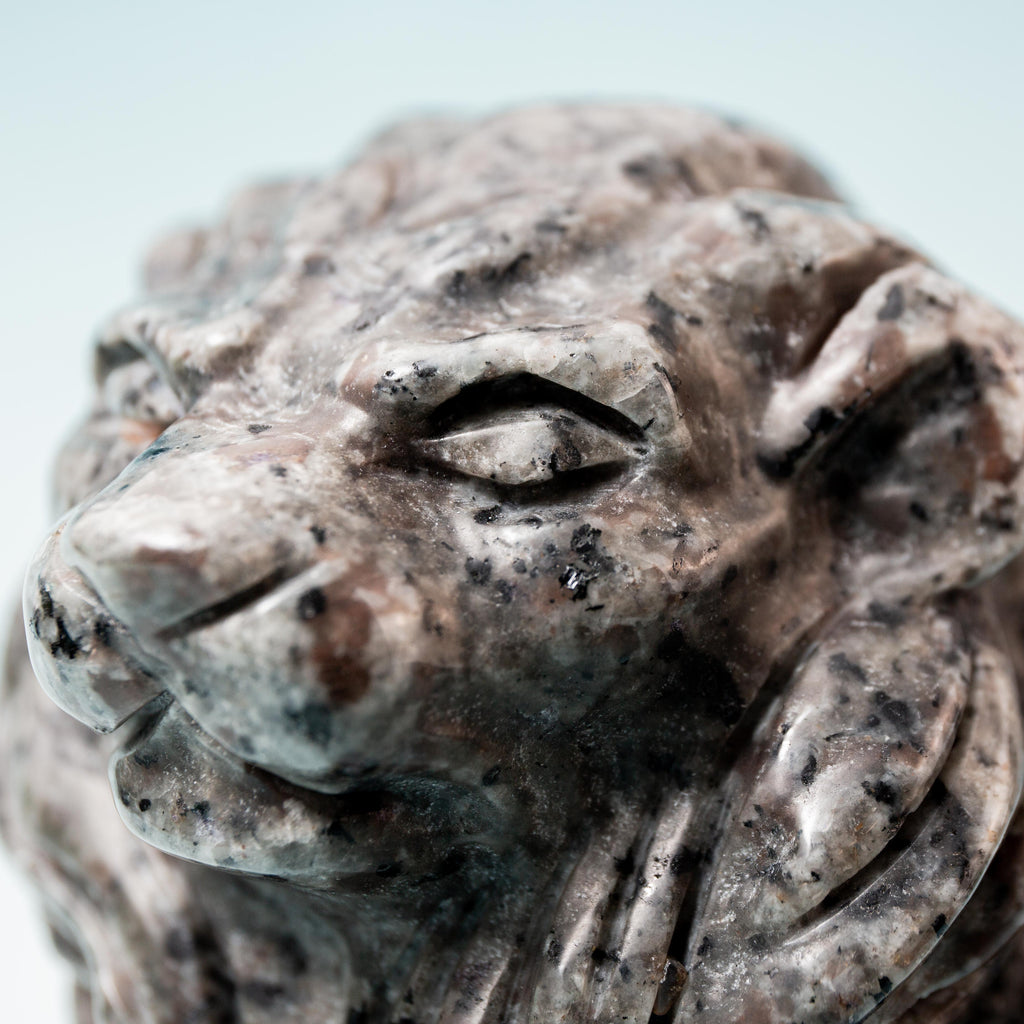Yooperlite Lion - 15 cm 1769 gr