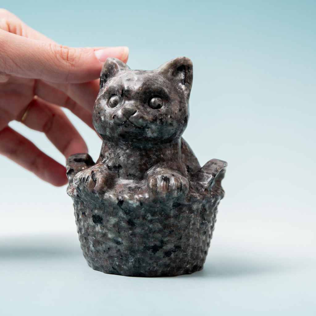 Yooperlite Cat in Bucket - 10 cm 551 gr