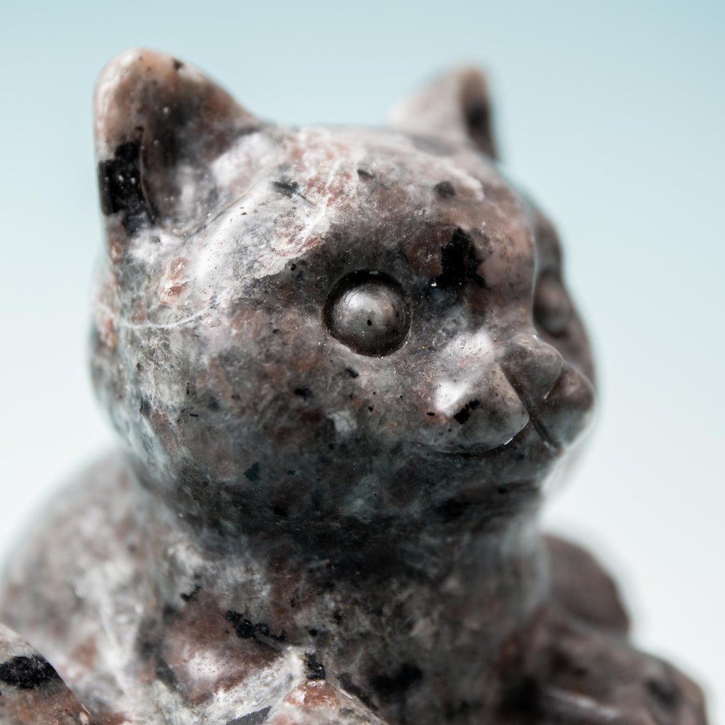 Yooperlite Cat in Bucket - 10 cm 551 gr