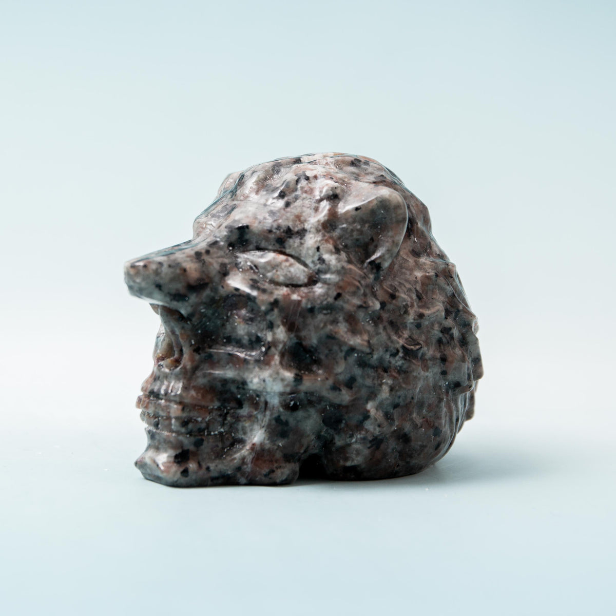 Yooperlite Skull with Wolf Head - 6 cm 316 gr