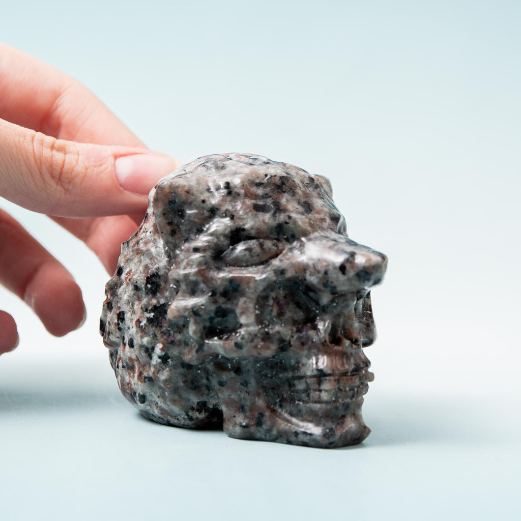 Yooperlite Skull with Wolf Head - 6 cm 316 gr