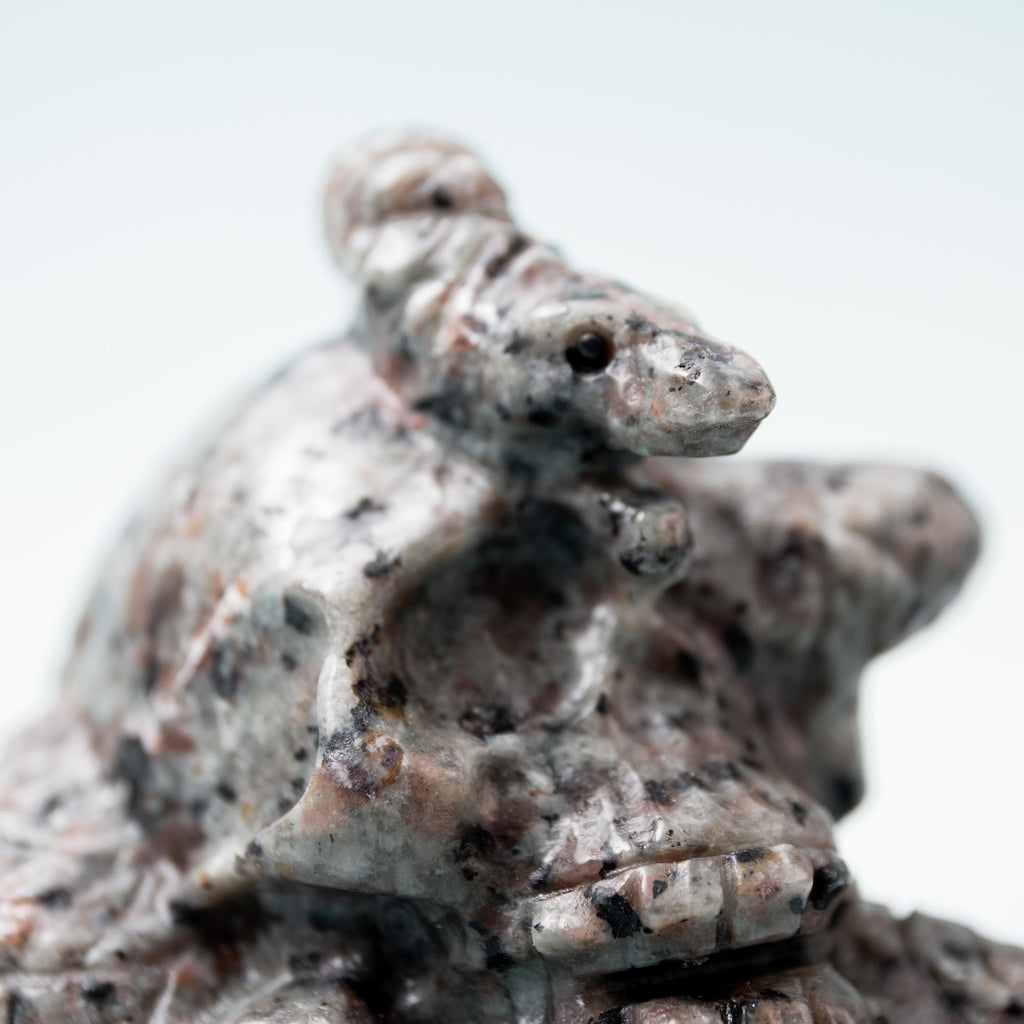 Yooperlite Skull with Snake - 7 cm 284 gr