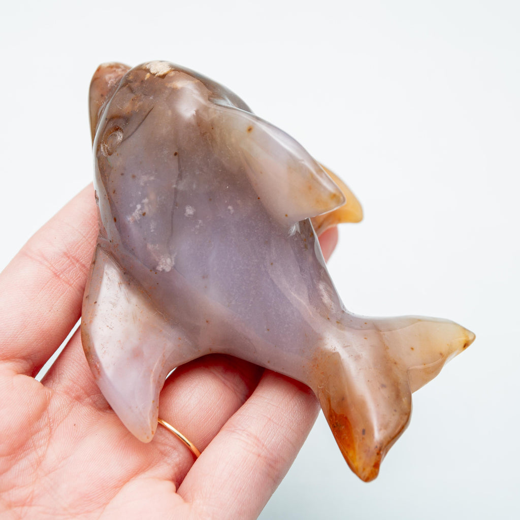 Agate Dolphin - 5 cm 150 gr