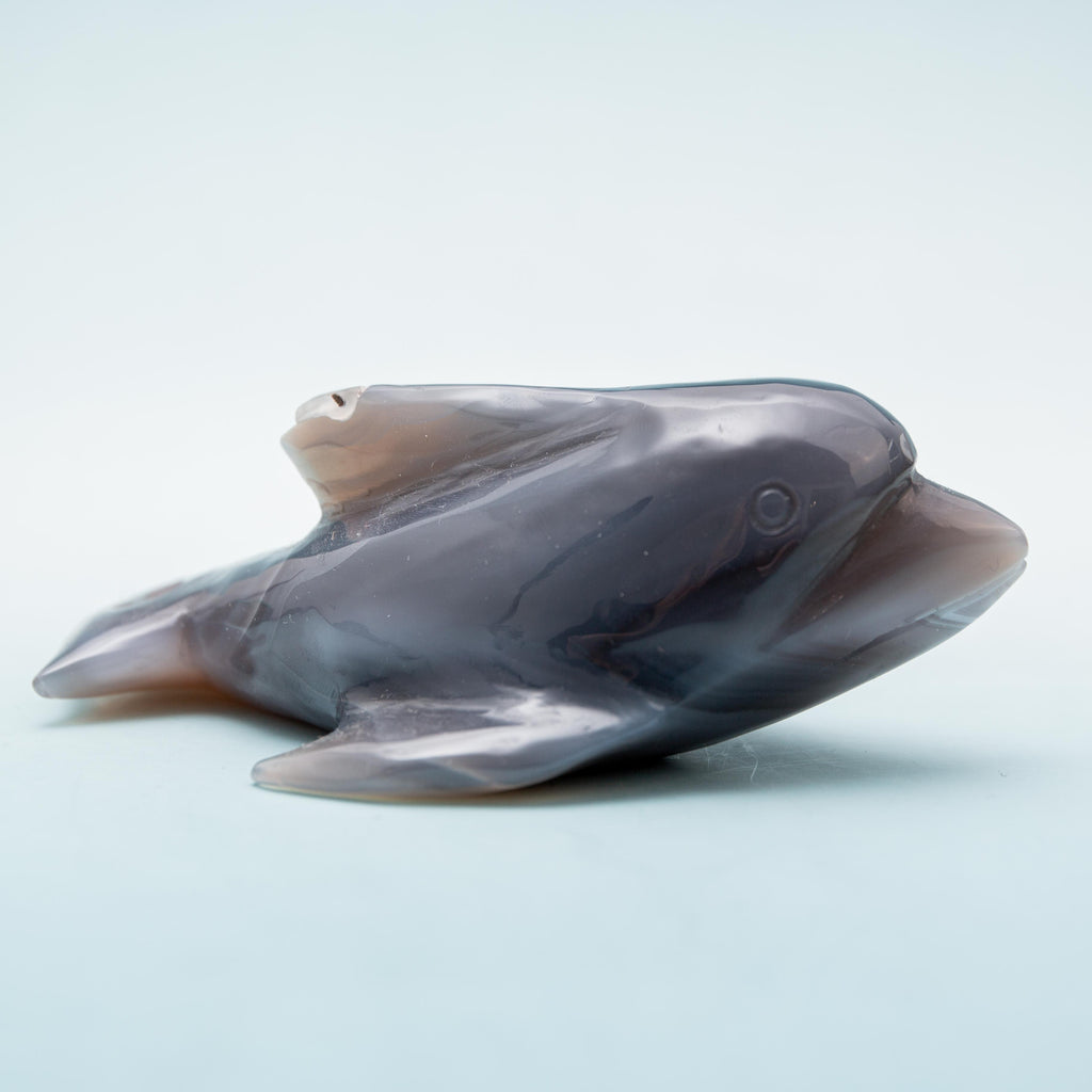 Agate Dolphin - 4 cm 161 gr