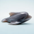 Agate Dolphin - 4 cm 161 gr