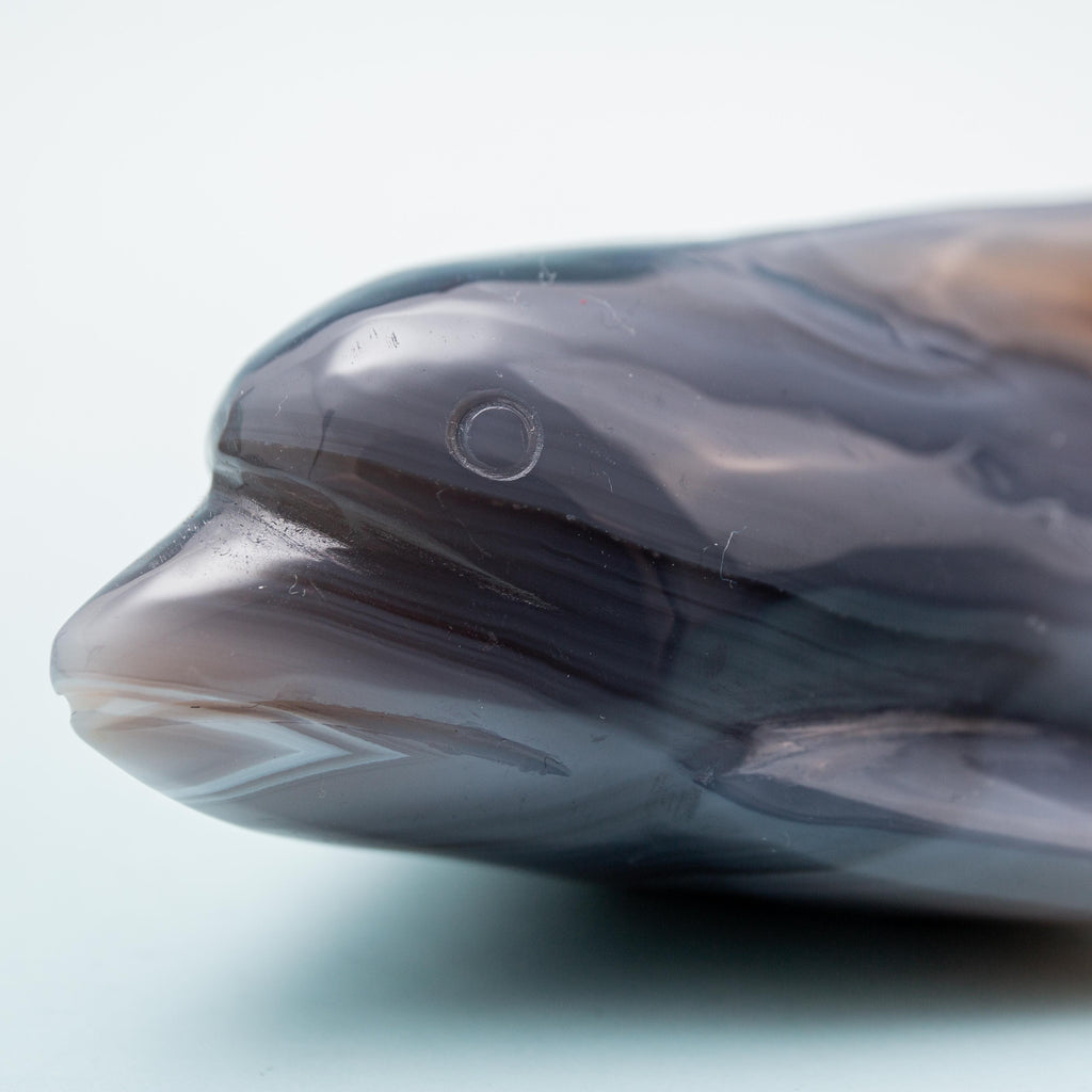 Agate Dolphin - 4 cm 161 gr