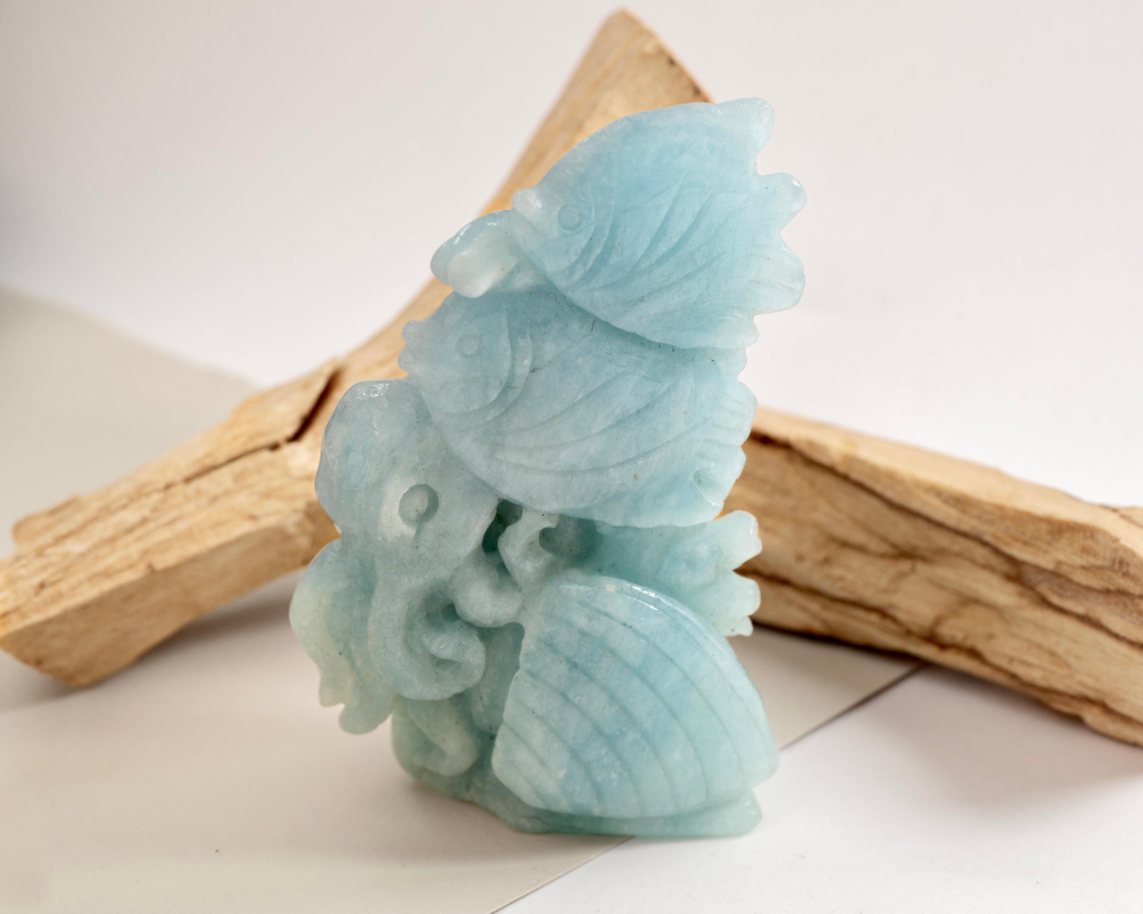 Fishes - Aquamarine 219g