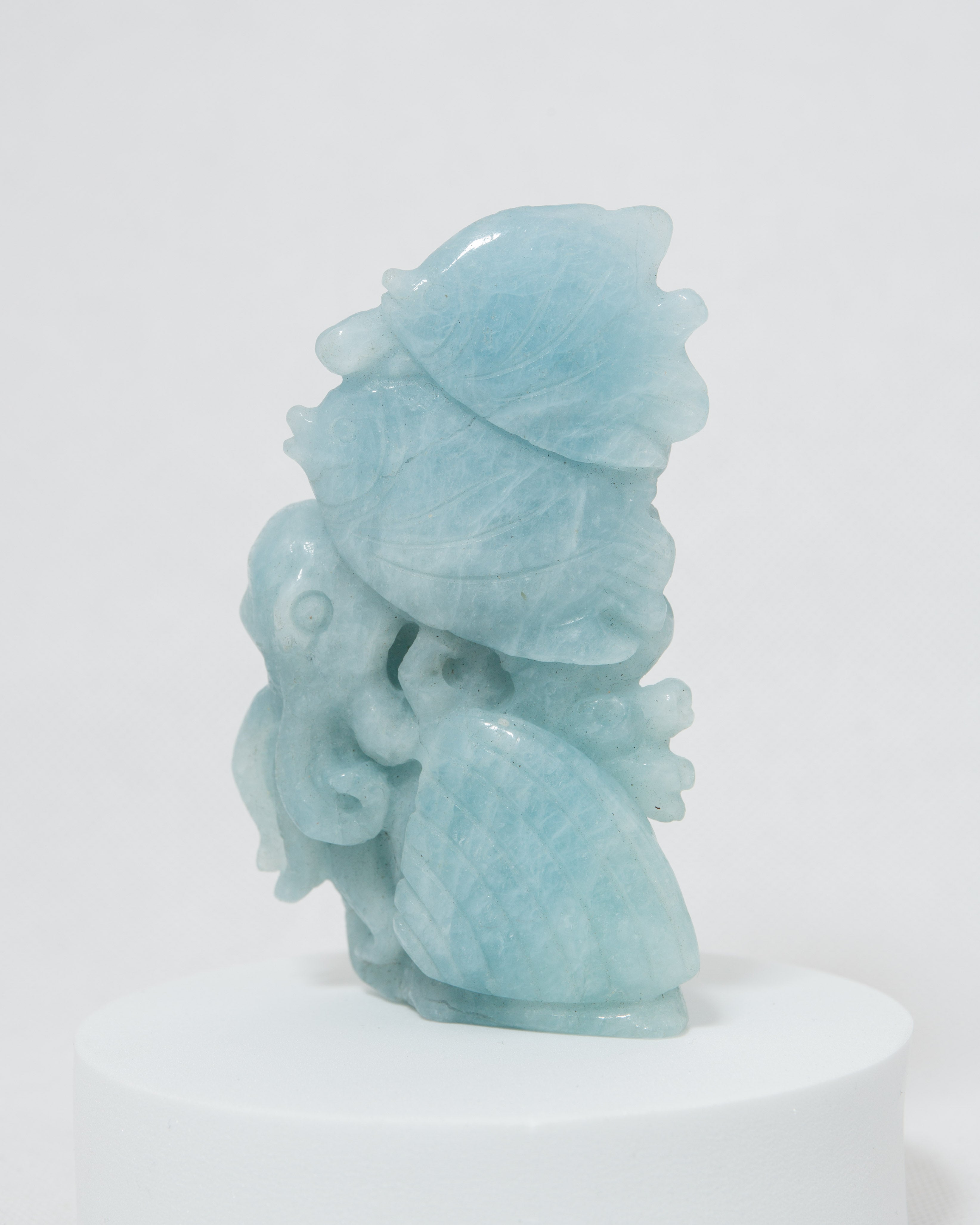 Fishes - Aquamarine 219g