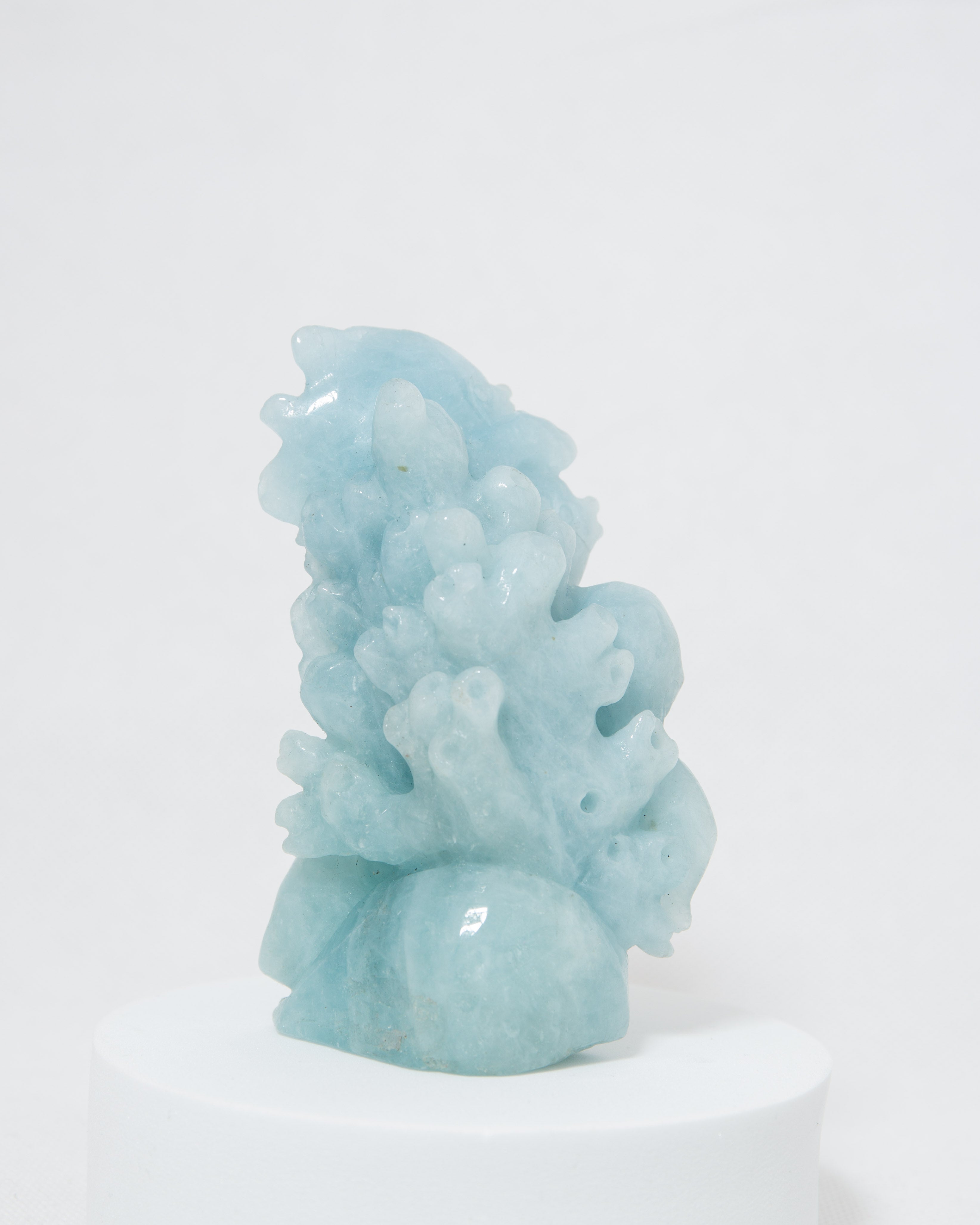 Fishes - Aquamarine 219g