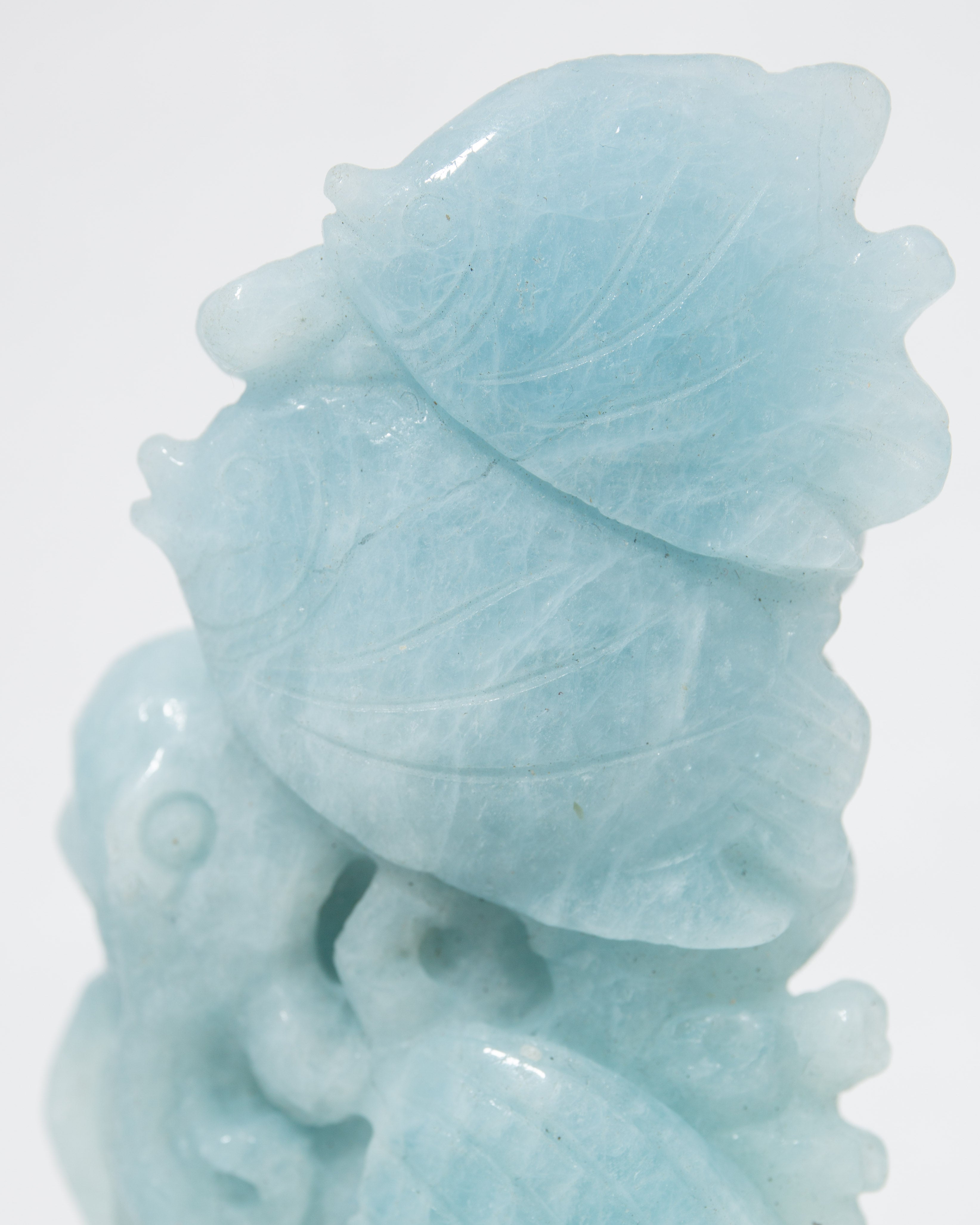 Fishes - Aquamarine 219g