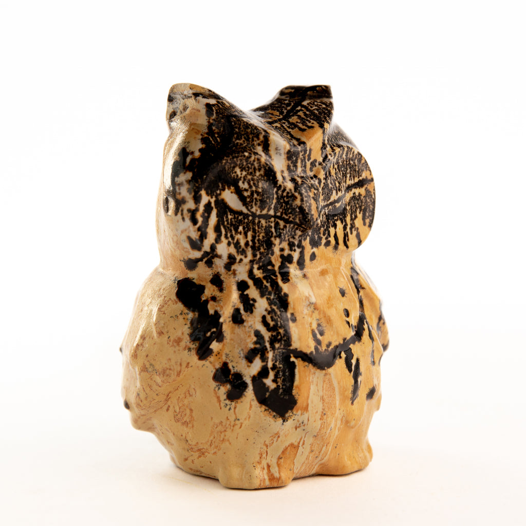 Owl - Picture Jasper
