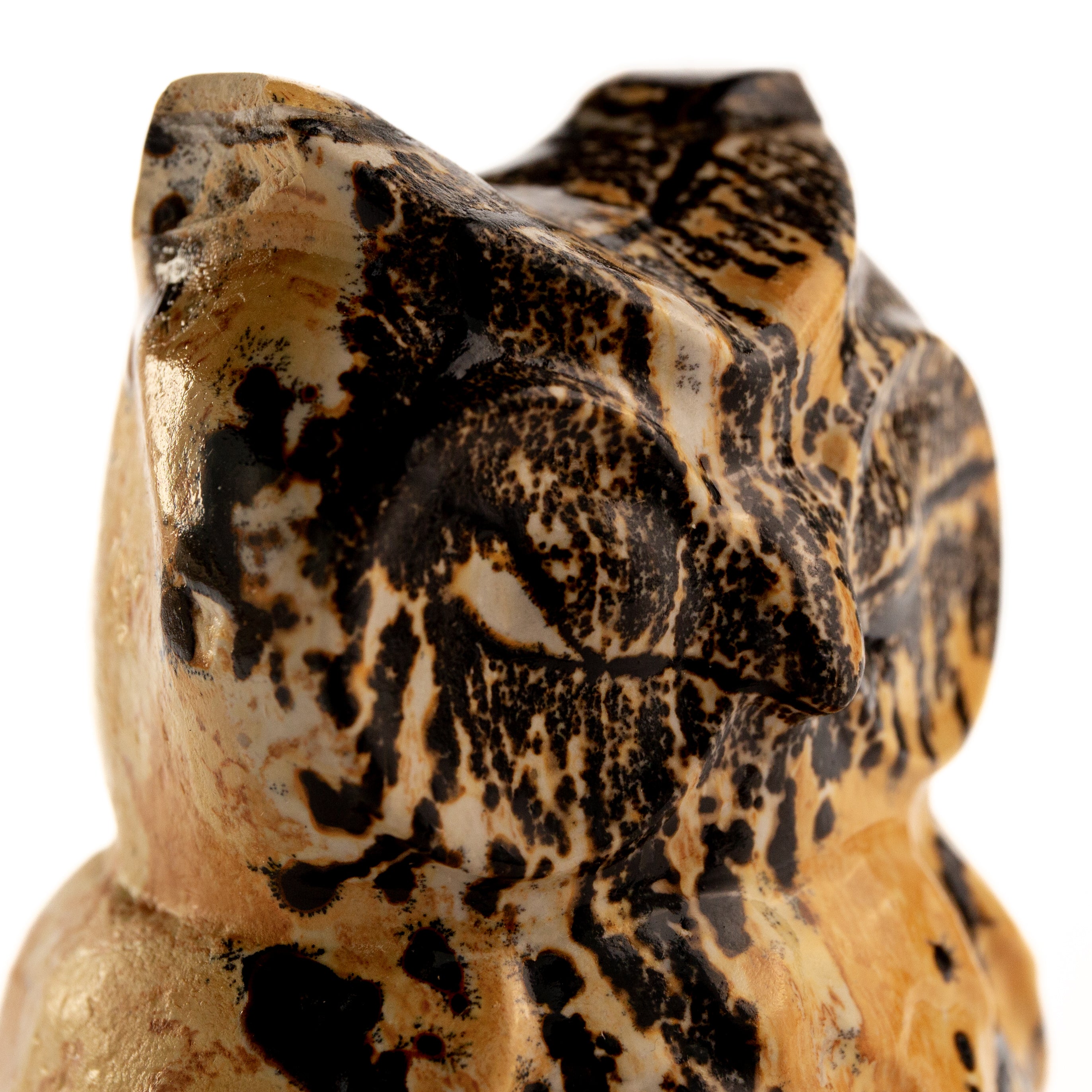 Owl - Picture Jasper