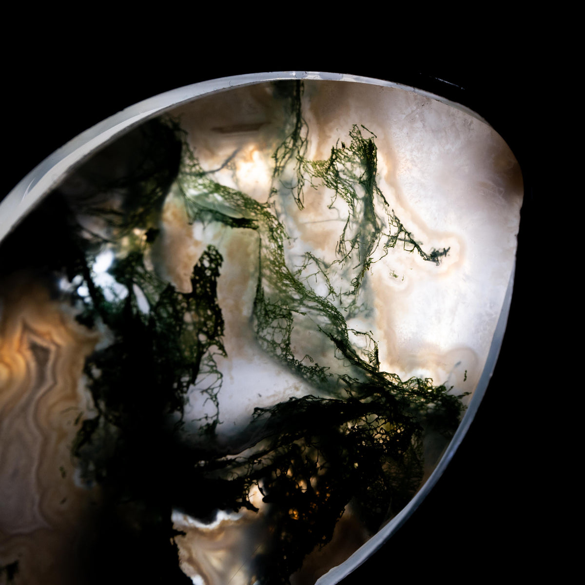 Moss Agate Butterfly (Led) Lamp - 14 cm 600 gr — photo 5
