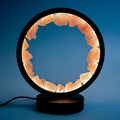 Rose Quartz Crystal Lamp (D)