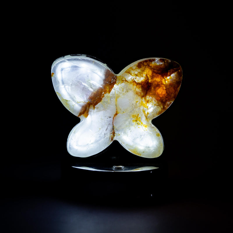 Golden Healer Kvarc Pillangó LED Lámpa