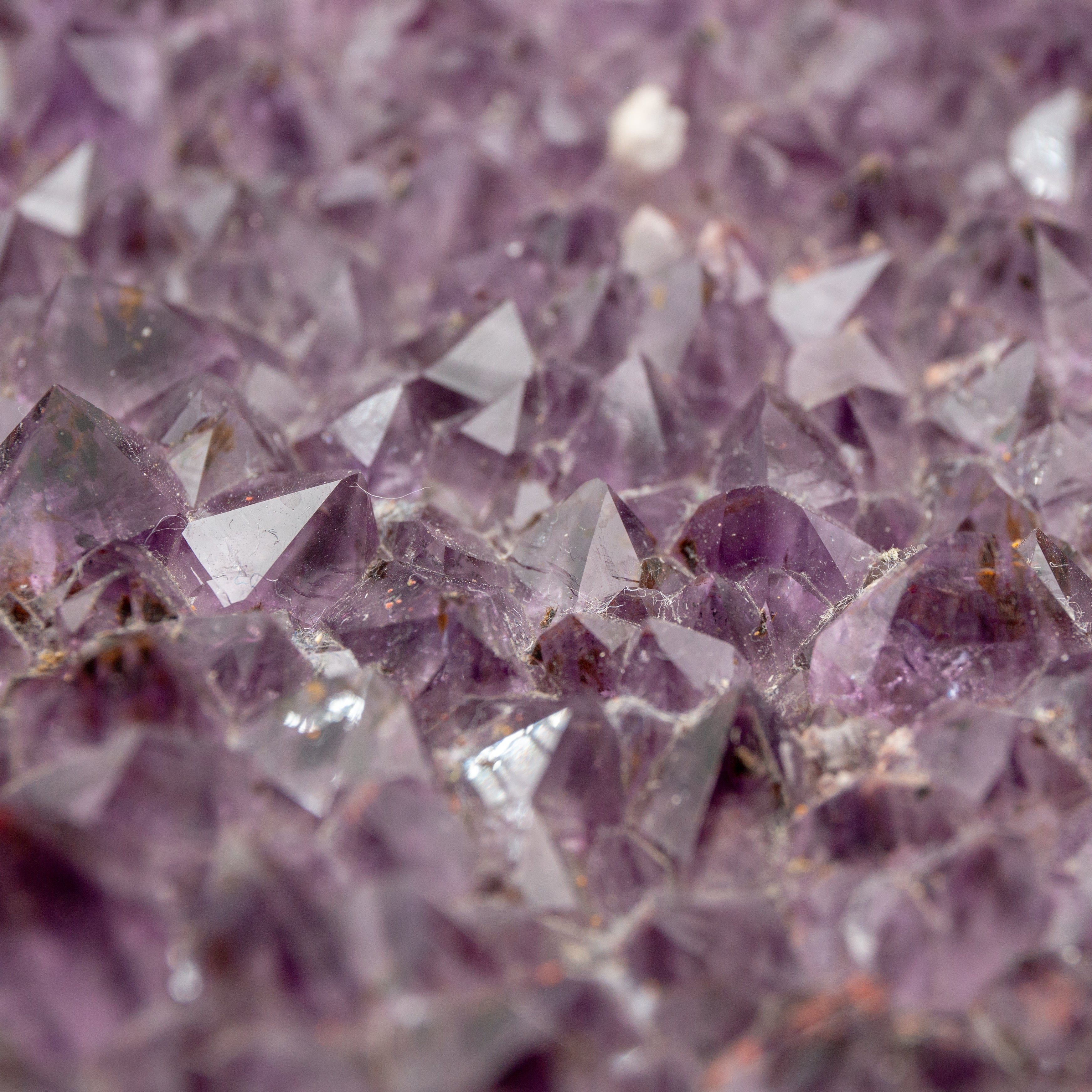 こたつ amethyst LAM_2038-2_600x.jpg?v=1533918094