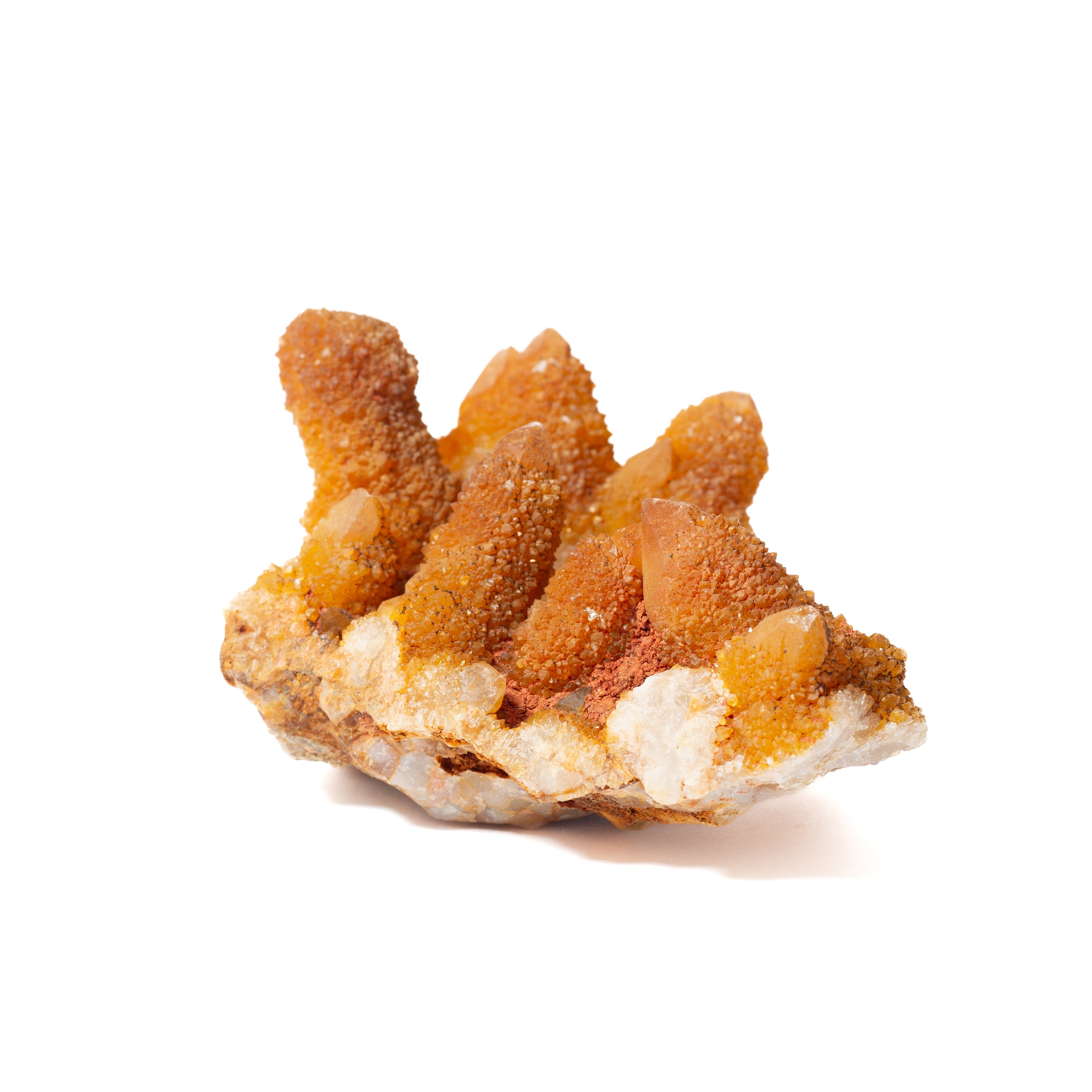 Kaktusz kvarc - Dél-Afrika