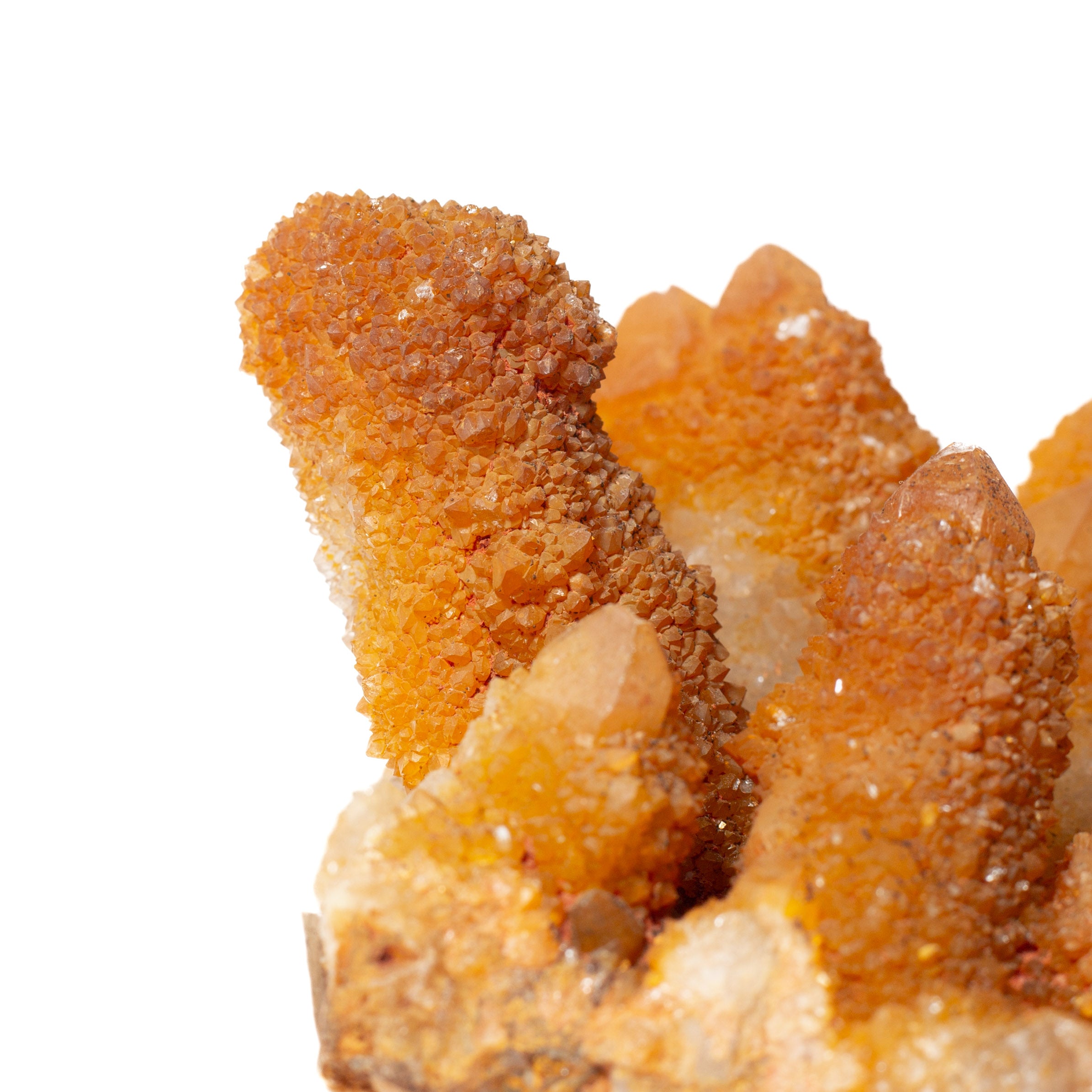 Kaktusz kvarc - Dél-Afrika