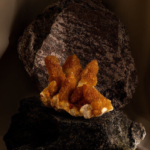 Cactus Quartz - South Africa