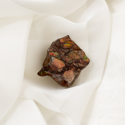 Ammolite - CM072