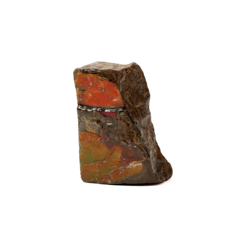 Ammolite - CM073